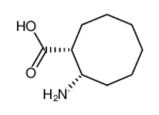 Imagem de (1R,2S)-2-AMINO-CYCLOOCTANECARBOXYLIC ACID