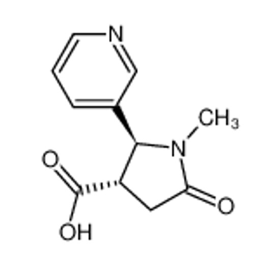 Picture of TRANS-1-METHYL-4-CARBOXY-5-(3-PYRIDYL)-2-PYRROLIDINONE