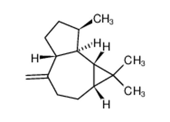 Picture of (+)-AROMADENDRENE