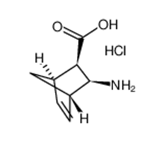 Picture of (1R,2R,3S,4S)-(-)-3-AMINOBICYCLO[2.2.1]HEPT-5-ENE-2-CARBOXYLIC ACID HYDROCHLORIDE
