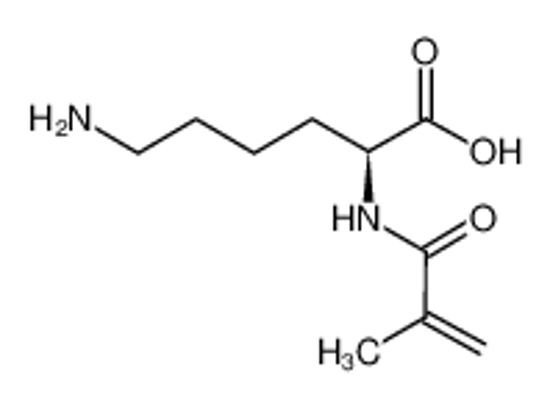 Изображение (2S)-6-amino-2-(2-methylprop-2-enoylamino)hexanoic acid