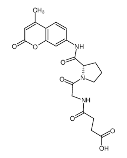 Picture of SUC-GLY-PRO-AMC