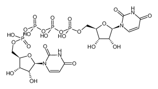 Picture of [[(2R,3S,4R,5R)-5-(2,4-dioxopyrimidin-1-yl)-3,4-dihydroxyoxolan-2-yl]methoxy-hydroxyphosphoryl] [[[(2R,3S,4R,5R)-5-(2,4-dioxopyrimidin-1-yl)-3,4-dihydroxyoxolan-2-yl]methoxy-hydroxyphosphoryl]oxy-hydroxyphosphoryl] hydrogen phosphate