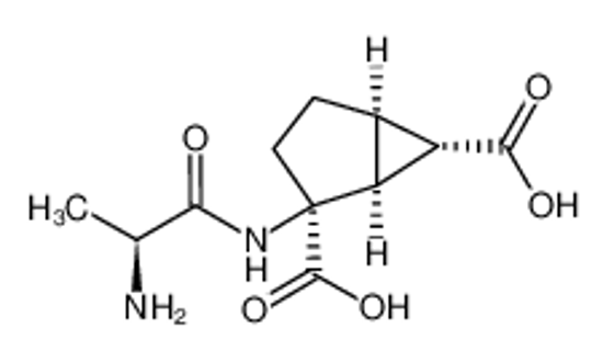 Imagem de (1S,2S,5R,6S)-2-[[(2S)-2-aminopropanoyl]amino]bicyclo[3.1.0]hexane-2,6-dicarboxylic acid