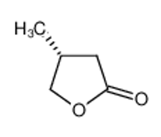 Изображение (4R)-4-methyloxolan-2-one
