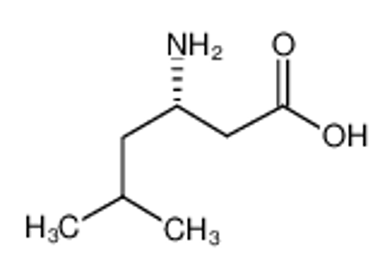 Picture of (3S)-3-amino-5-methylhexanoic acid