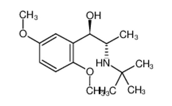 Imagem de (+/-)-BUTOXAMINE