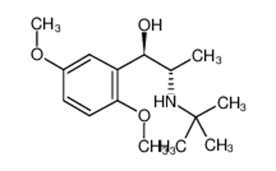 Picture of (+/-)-BUTOXAMINE