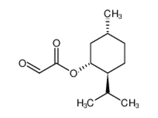 Picture of (1R)-(-)-Menthyl glyoxylate