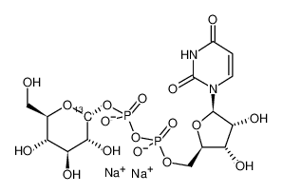 Picture of URIDINE DIPHOSPHATE-α-D-[1-13C]GLUCOSE DISODIUM SALT