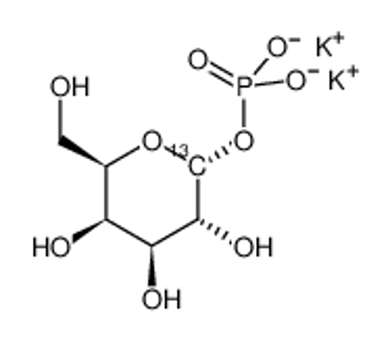 Picture of α-D-[1-13C]GALACTOPYRANOSYL 1-PHOSPHATE DIPOTASSIUM SALT