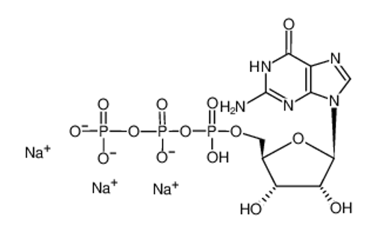 Picture of Guanosine 5′-triphosphate sodium salt hydrate