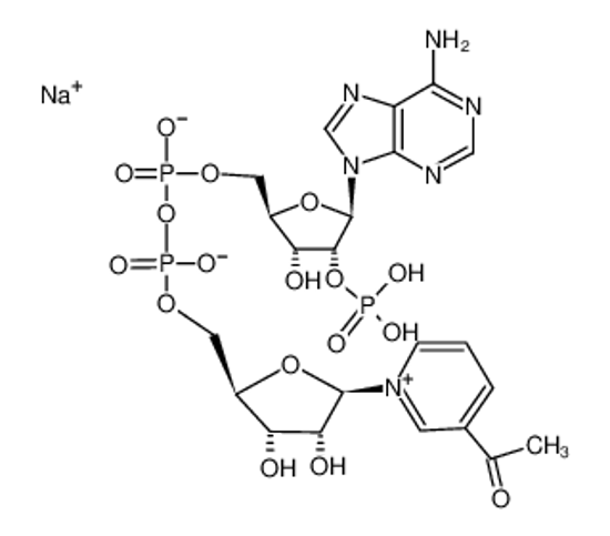 Picture of [[5-(3-acetylpyridin-1-ium-1-yl)-3,4-dihydroxyoxolan-2-yl]methoxy-hydroxyphosphoryl] [5-(6-aminopurin-9-yl)-4-hydroxy-3-phosphonooxyoxolan-2-yl]methyl hydrogen phosphate,sodium