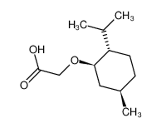 Imagem de (-)-Menthyloxyacetic Acid