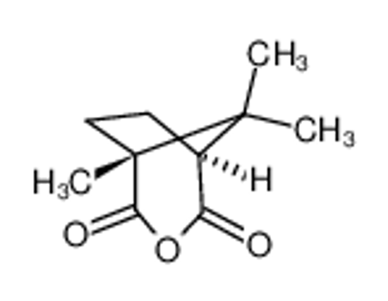 Picture of (1R,3S)-(-)-CAMPHORIC ANHYDRIDE