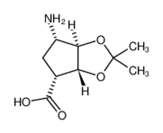 Picture of (3aR,4S,6R,6aS)-2,2-dimethyl-4-[(2-methylpropan-2-yl)oxycarbonylamino]-4,5,6,6a-tetrahydro-3aH-cyclopenta[d][1,3]dioxole-6-carboxylate