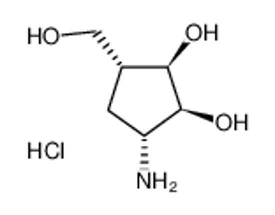 Picture of (1R,2S,3R,4R)-2,3-Dihydroxy-4-(hydroxymethyl)-1-aminocyclopentane hydrochloride