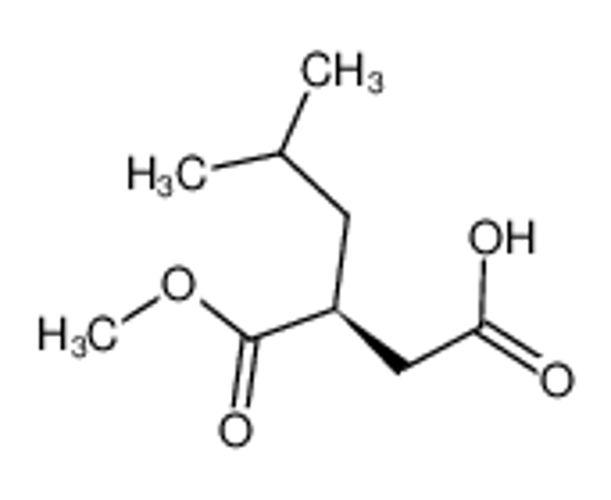 Picture of (S)-(-)-2-ISOBUTYLSUCCINIC ACID 1-METHYL ESTER