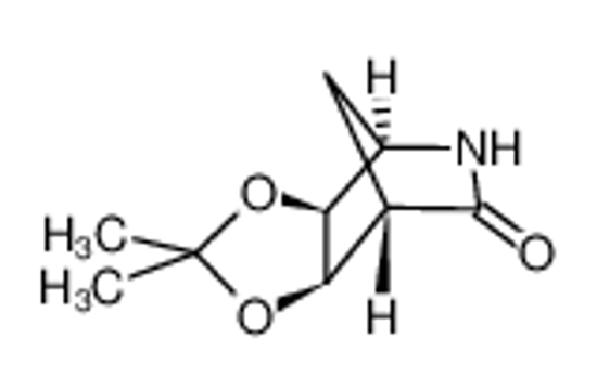Picture of [3aS-(3aα,4β,7β,7aα)]tetrahydro-2,2-dimethyl-4,7-methano-1,3-dioxolo[4,5-c]pyridin-6(3aH)-one