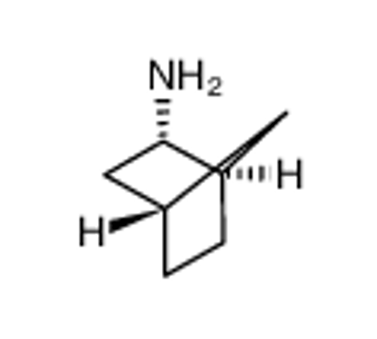 Picture of (+)-endo-2-Aminonorbornane