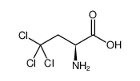 Picture of L-2-AMINO-4,4,4-TRICHLOROBUTANOIC ACID