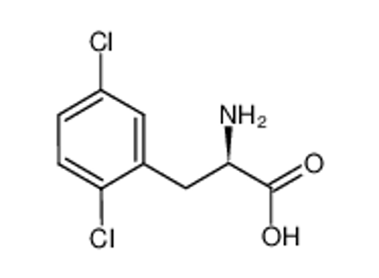 Picture of (R)-2-Amino-3-(2,5-dichlorophenyl)propanoic acid