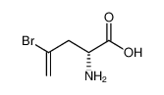 Imagem de (2R)-2-amino-4-bromopent-4-enoic acid