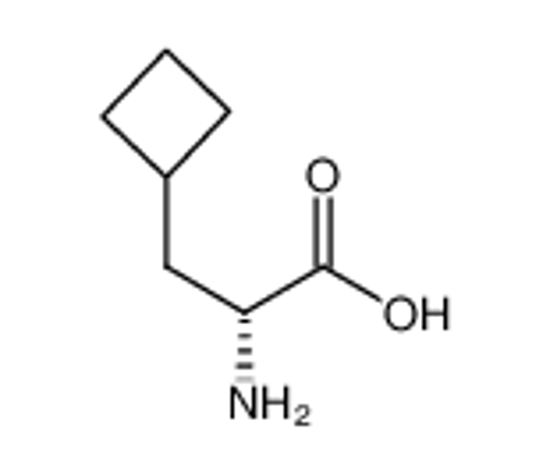 Imagem de (2R)-2-amino-3-cyclobutylpropanoic acid