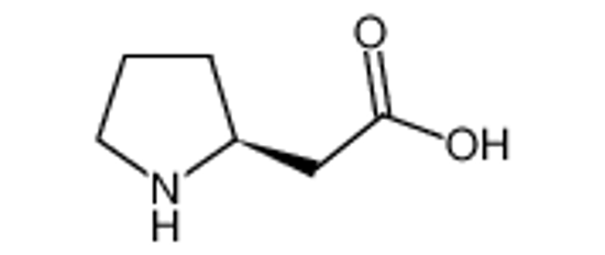 Изображение (S)-2-(Pyrrolidin-2-yl)acetic acid