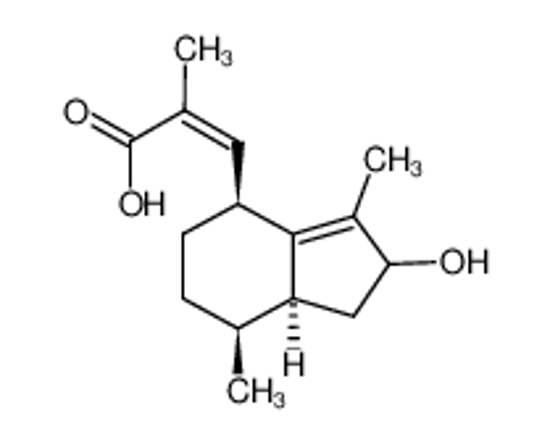 Picture of Hydroxyvalerenic acid