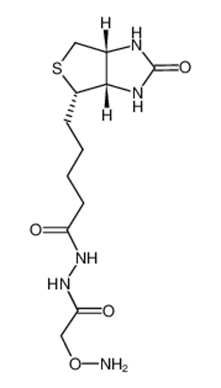 Picture of N'-AMINOOXYMETHYLCARBONYLHYDRAZINO-D-BIOTIN