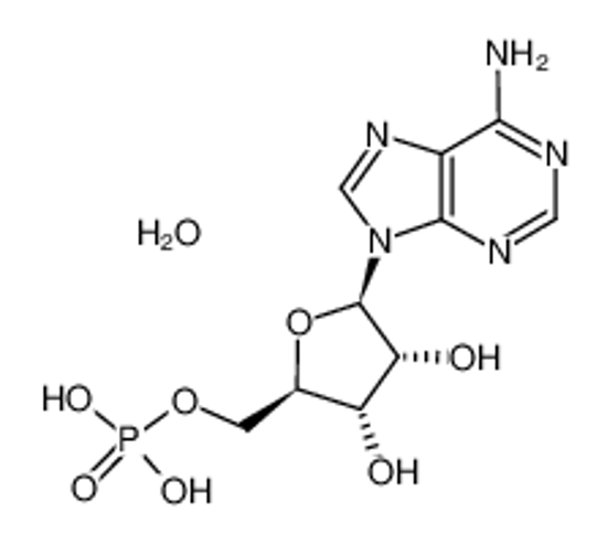 Picture of Adenosine 5'-monophosphate monohydrate