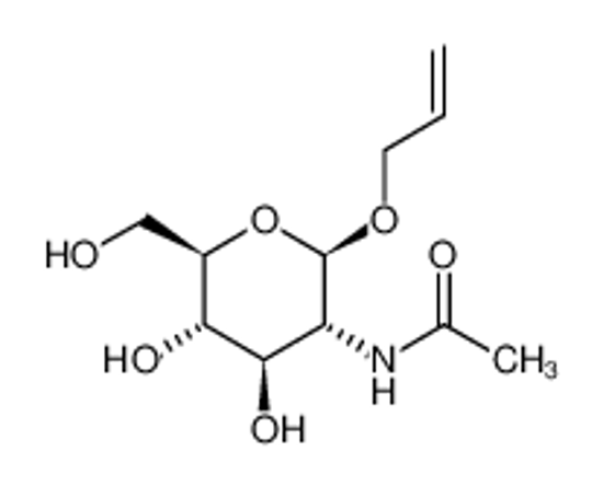 Изображение ALLYL 2-ACETAMIDO-2-DEOXY-β-D-GLUCOPYRANOSIDE