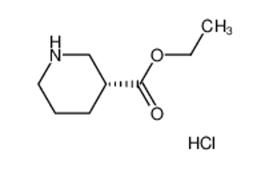 Picture of (R)-Piperidine-3-Carboxylic Acid Ethyl Ester Hydrochloride