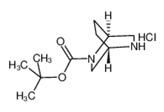 Picture of (1S,4S)-2-BOC-2,5-DIAZABICYCLO[2.2.2]OCTANE HYDROCHLORIDE