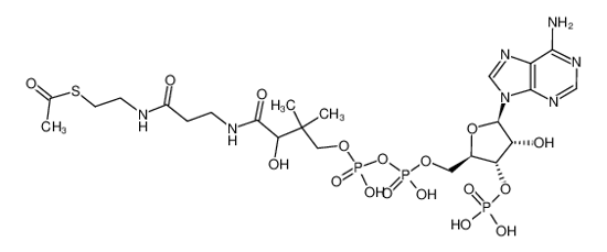Picture of Acetyl coenzyme A sodium salt