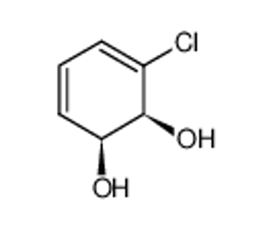 Picture of (1S,2S)-3-chlorocyclohexa-3,5-diene-1,2-diol