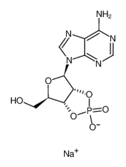 Picture of ADENOSINE-2':3'-CYCLIC MONOPHOSPHATE, SODIUM SALT