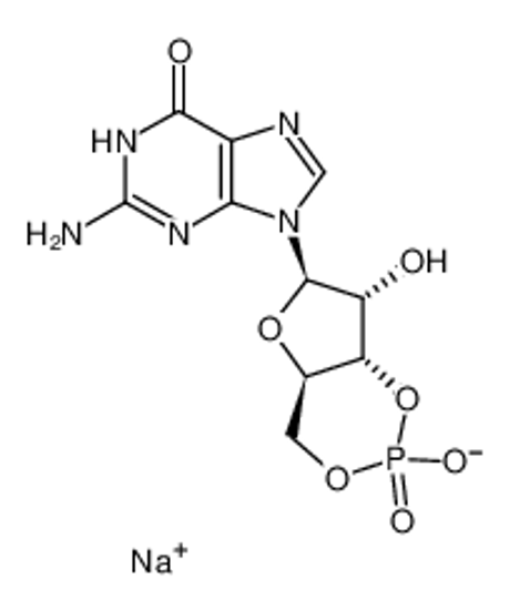 Picture of Guanosine 3’,5’-Cyclic Monophosphate Sodium Salt