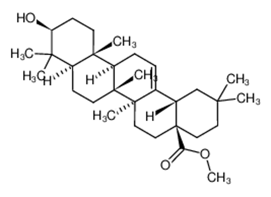Picture of methyl (4aS,6aR,6aS,6bR,8aR,10S,12aR,14bS)-10-hydroxy-2,2,6a,6b,9,9,12a-heptamethyl-1,3,4,5,6,6a,7,8,8a,10,11,12,13,14b-tetradecahydropicene-4a-carboxylate
