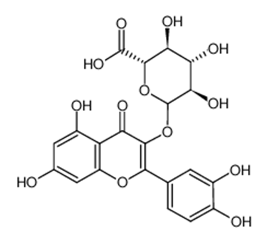 Picture of miquelianin