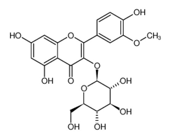 Picture of ISORHAMNETIN-3-GLUCOSIDE