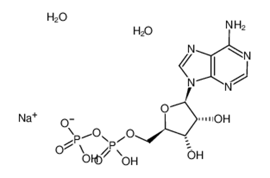 Изображение ADENOSINE 5'-DIPHOSPHATE, MONOSODIUM SALT DIHYDRATE, 98