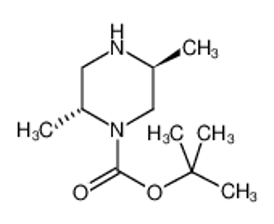 Picture of t-Butyl(2R,5S)-2,5-dimethylpiperazine-1-carboxylate