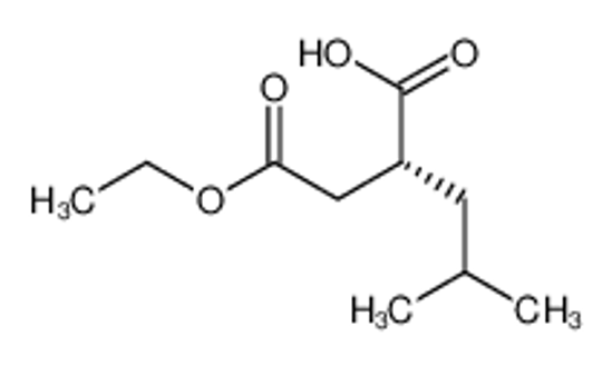 Picture of (2R)-2-(2-ethoxy-2-oxoethyl)-4-methylpentanoic acid