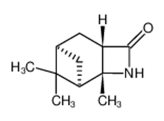 Picture of (1R, 2R, 5S, 7R)-2,8,8,TRIMETHYL-3-AZATRICYCLO[5.1.1.0(2,5)]NONANE-4-ONE