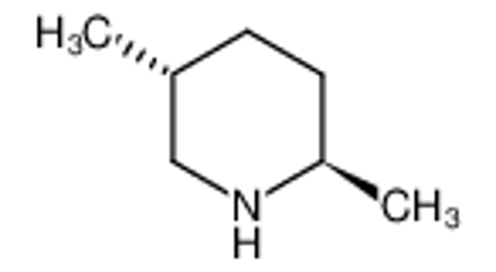 Picture of TRANS-2,5-DIMETHYLPIPERIDINE