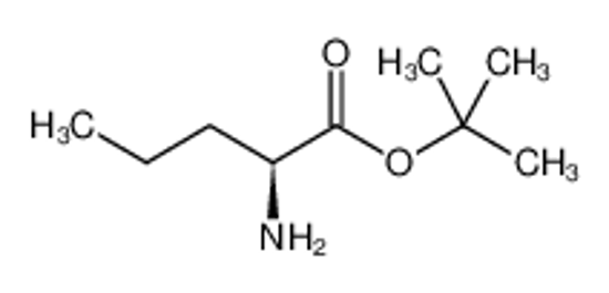 Picture of tert-butyl (2S)-2-aminopentanoate