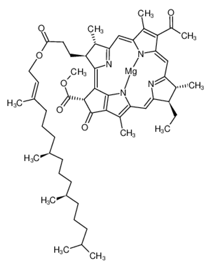 Picture of bacteriochlorophyll a