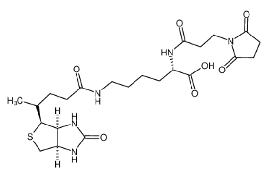 Изображение (2R)-6-[5-[(3aS,4S,6aR)-2-oxo-1,3,3a,4,6,6a-hexahydrothieno[3,4-d]imidazol-4-yl]pentanoylamino]-2-[3-(2,5-dioxopyrrol-1-yl)propanoylamino]hexanoic acid